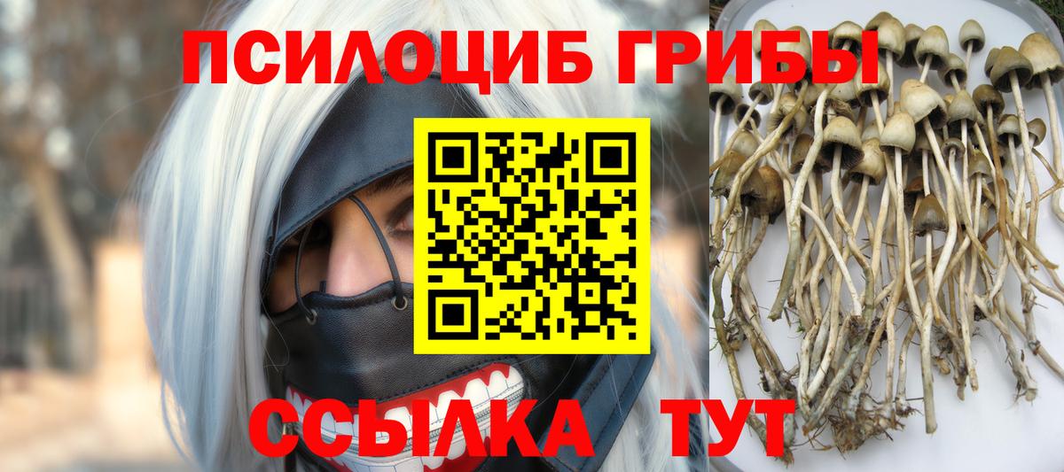 Псилоцибиновые грибы прущие грибы  Вход с VPN  Электросталь 